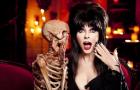 Vad betyder namnet Elvira?
